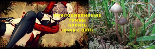 mdma Новозыбков