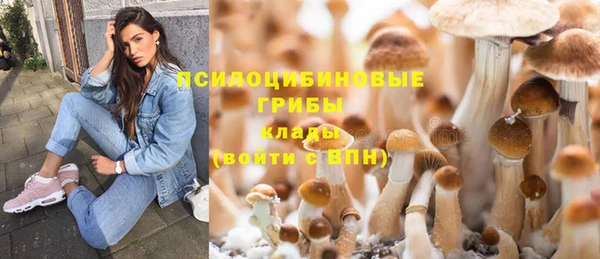 первитин Новокубанск