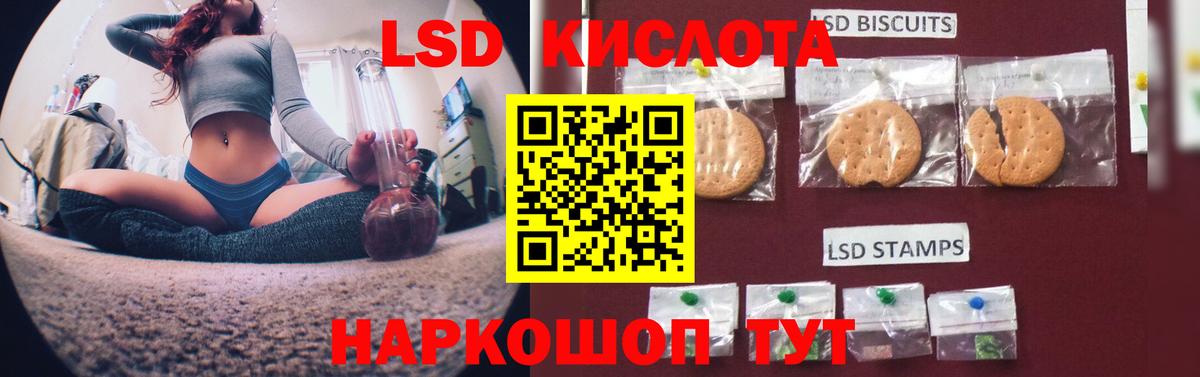 Бошки Шишки Кушва