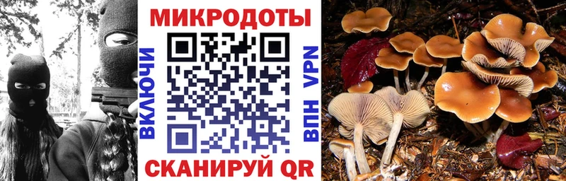 Галлюциногенные грибы Cubensis  Кушва 