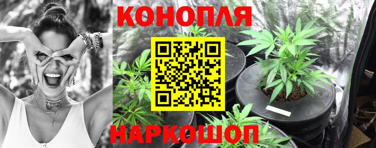 Кушва  МАРИХУАНА марихуана  Конопля планчик  Вход с VPN  Канабис LSD WEED 